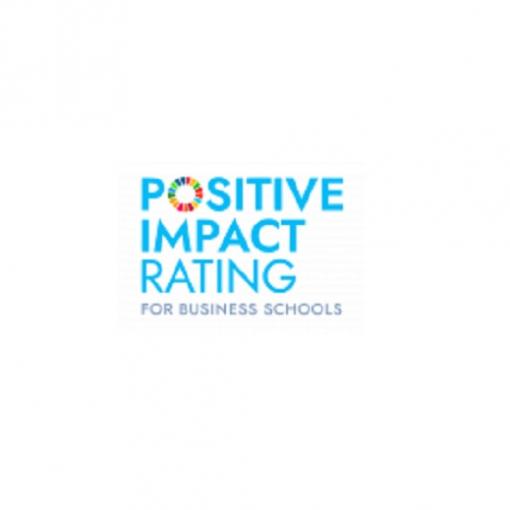 Positive Impact Rating grafika